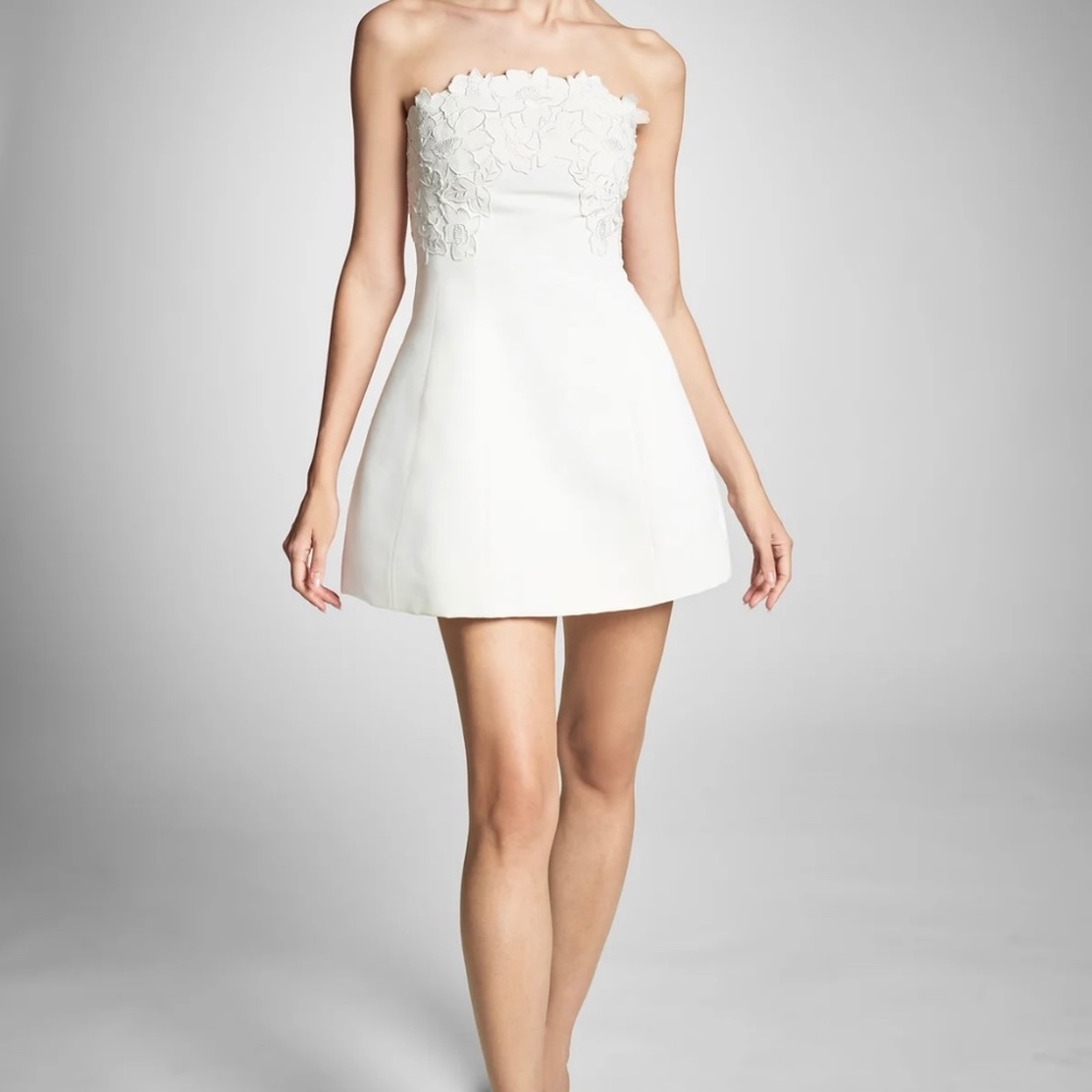 Sachin & Babi Alanna Dress